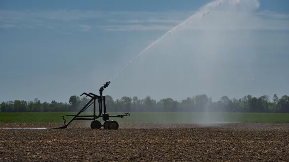 Auch in Lippe sind die Felder im Sommer teilweise staubtrocken. Manch ein Bauer greift zur Bew&auml;sserungsanlage. Eine Kooperation zwischen Wasserversorgungsunternehmen und Landwirtschaft soll helfen. - &copy; Pixabay