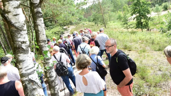 Der Augustdorfer Dünenpfad ist eine von zehn Touren, die im Rahmen des Projekts "Senne für alle Sinne" beworben werden. - © Archivfoto: Nicole Ellerbrake