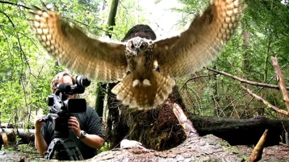 Ein Greifvogel fliegt direkt auf den Tierfilmer zu, der in diesem Fall den Fotografen gab. Gefilmt wird hinten links. - © Robin Jaehne