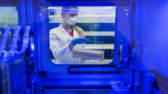 Test auf das Coronavirus - &copy; Foto: Daniel Bockwoldt/dpa