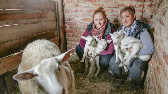 Wolliges Quartett: Hilke Blomeyer und Tochter Michaela halten die vier L&auml;mmchen im Arm. Mutterschaf Lotte be&auml;ugt derweil neugierig den Fotografen.&nbsp; - &copy; Tyler Larkin