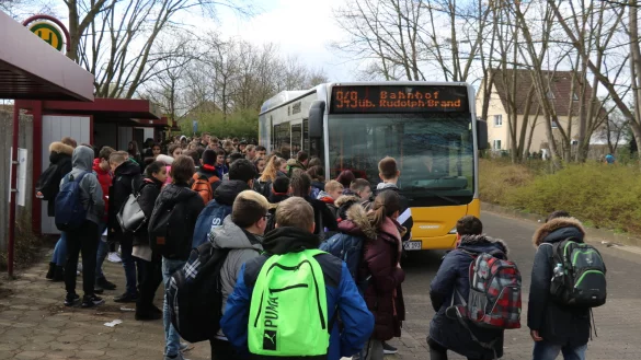 Bushalte Aspe - &copy; Alexandra Schaller