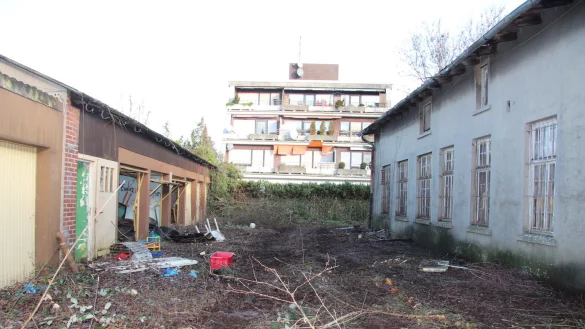 Gro&szlig;es Gel&auml;nde: Bevor zwischen der Friedrich-Petri-Stra&szlig;e und der Hellmeyerstra&szlig;e ein Lidl- und ein dm-Markt noch in diesem Jahr entstehen, werden das Dickicht entfernt und die alten Geb&auml;ude (links und rechts) abgerissen. Foto: Cordula Gr&ouml;ne - &copy; Cordula Gr&ouml;ne