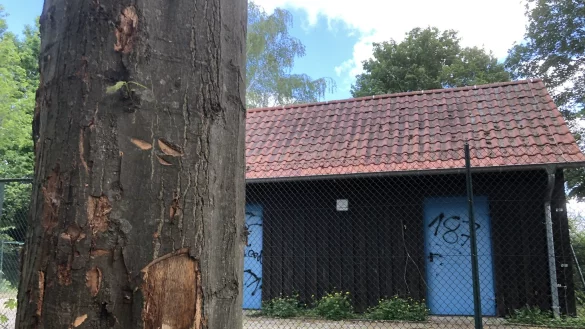 Am Abwasserpumpwerk in Lieme haben Unbekannte B&auml;ume besch&auml;digt &ndash; diese k&ouml;nnten bleibende Sch&auml;den davon tragen, f&uuml;rchtet der Eigenbetrieb Stra&szlig;en und Entw&auml;sserung. - &copy; Till Brand