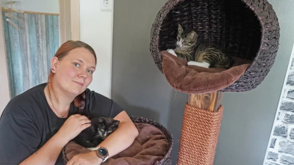 Vanessa Feeken, Vorsitzende des Blomberger F&ouml;rdervereins f&uuml;r Tierschutz "Animal Island" hat die beiden Fundkitten "Monti" und "Tilda" vor&uuml;bergehend bei sich aufgenommen. Bald sollen sie in ein liebevolles Zuhause vermittelt werden. - &copy; Michaela Wei&szlig;e