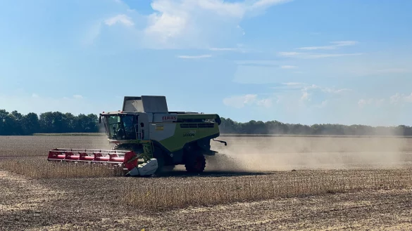 Bei der Soja-Ernte in S&uuml;damerika kommen auch Landmaschinen von Claas zum Einsatz. - &copy; picture alliance / Franz Neumayr / picturedesk.com