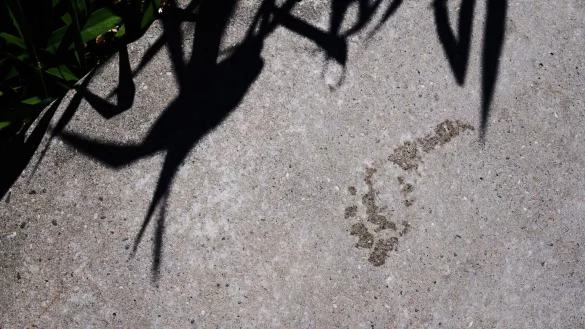 CO2-Fu&szlig;abdruck - &copy; Foto: Annette Riedl/dpa/dpa-tmn