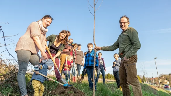 Gemeinsam pflanzen Anwohner B&auml;ume an der Barntruper Stra&szlig;e. - &copy; Torben Gocke