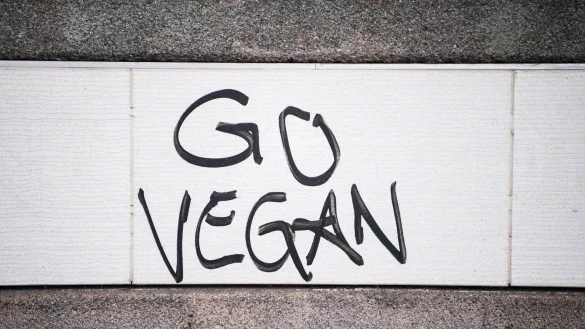 &laquo;Go Vegan&raquo; wurde auf eine Mauer gespr&uuml;ht - &copy; Foto: Andreas Arnold/dpa/Illustration