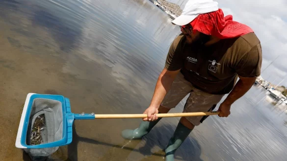 Mar Menor - &copy; Foto: Edu Botella/EUROPA PRESS/dpa