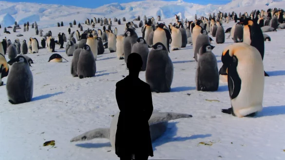 Ausstellung "Antarctica" - &copy; Foto: Carmen Jaspersen