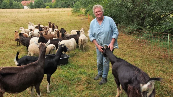 Stefanie Rzepka mit Teile ihrer "Mitarbeiter". Die Th&uuml;ringer Waldziegen sind sehr neugierig, die kleine Skudden eher zur&uuml;ckhalten. "Die Tiere nicht f&uuml;ttern", bittet die Sch&auml;ferin Wanderer. - &copy; Tanja Andersen