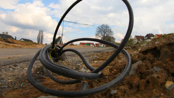 Dem trägt die Stadt Detmold Rechnung mit dem Baugebiet an der Lageschen Straße Rechnung, wo die Fläche der alten Südschule neu genutzt wird. - © Vera Gerstendorf-Welle