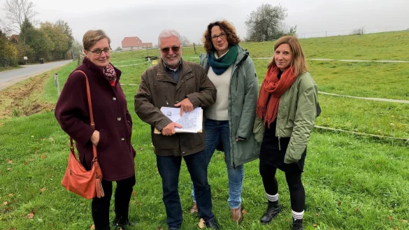 Hier soll die Muster-&Ouml;ko-Siedlung entstehen: Die gr&uuml;nen Ratsmitglieder Katrin Klei (von links), Reinhard Hanisch, Melanie Reichert und Wiebke Kopsieker stehen auf einem Feld am Fritz-Niewald-Weg (links im Bild). - &copy; Thomas Reineke