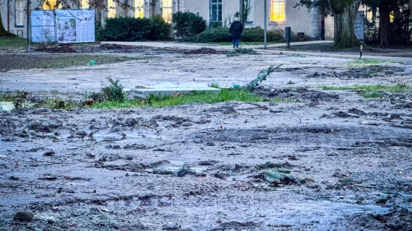 Die Grünflächen im Detmolder Schlosspark sehen nach dem Abbau der Weihnachtsmarkt-Hütten noch ziemlich mitgenommen aus. - © Raphael Bartling