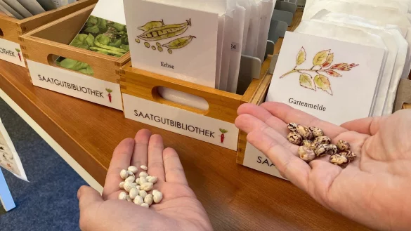 Einen kleinen Teil der Ernte gibt man in Rückgabe-Tütchen wieder in der Bibliothek ab, um für den Ausleih-Kreislauf zu sorgen. Auch das ist Nachhaltigkeit. - © Stadt Detmold