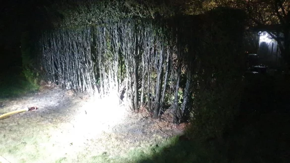 Die Feuerwehr l&ouml;schte einen Heckenbrand. - &copy; Feuerwehr Lage