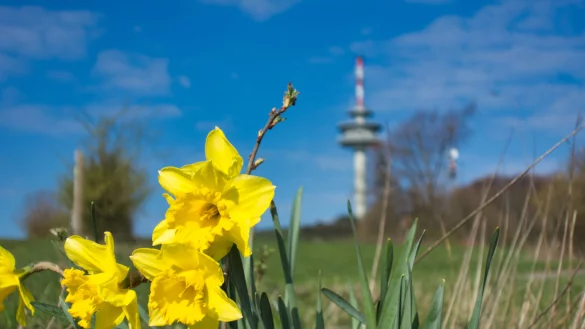 Ab Freitag, 3. April, ist der K&ouml;terberg in L&uuml;gde nur noch zu Fu&szlig; erreichbar. - &copy; Wolfgang Furmanski