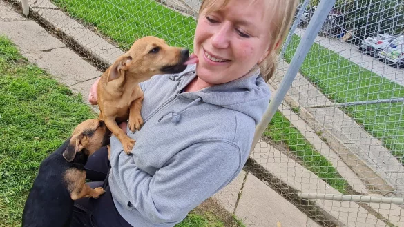 Küsschen auf Hundeart: Bisher haben die Welpen in der Detmolder Quarantäne kaum etwas kennengelernt. Erst seit vergangenem Donnerstag dürfen sie raus, und Tierheimleiterin Anneke Glöde kann sich des Überschwangs der kleinen Racker kaum erwehren. - © Marianne Schwarzer
