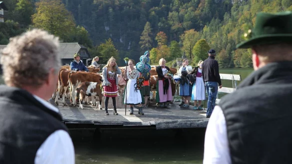 Almabtrieb am K&ouml;nigssee - &copy; Foto: Kilian Pfeiffer/dpa