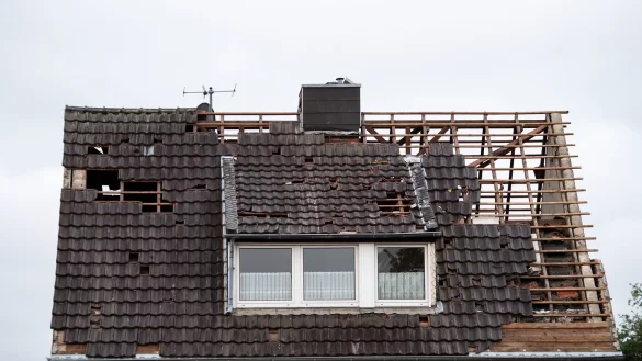 Dachsch&auml;den am Haus - &copy; Foto: Marius Becker