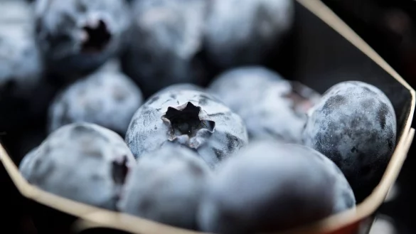 - © Robert Günther/dpa-tmn