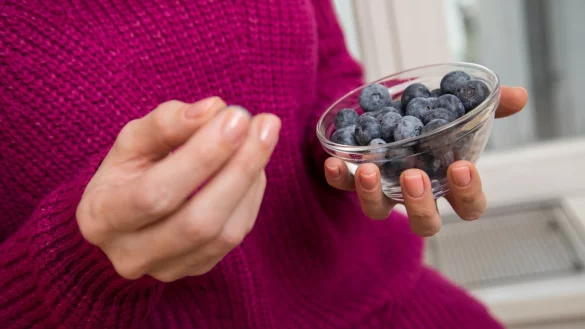 Heidelbeeren - &copy; Foto: Christin Klose