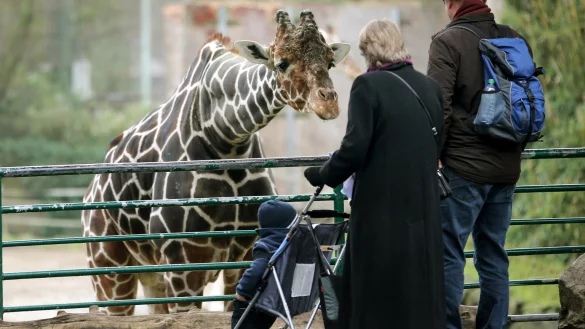 Zoobesuch - &copy; Foto: Roland Weihrauch