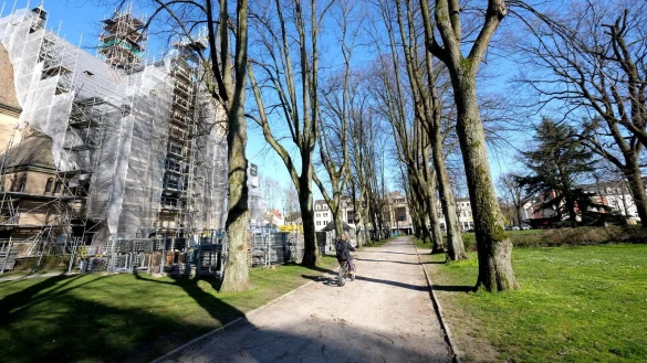 Die Linden-Allee wird einen befestigten Weg erhalten. Die B&uuml;rgerinitiative m&ouml;chte, dass er nach M&ouml;glichkeit wasserdurchl&auml;ssig hergestellt wird, was dem Schutz der B&auml;ume dienen soll. Foto: Sven Koch - &copy; sdg