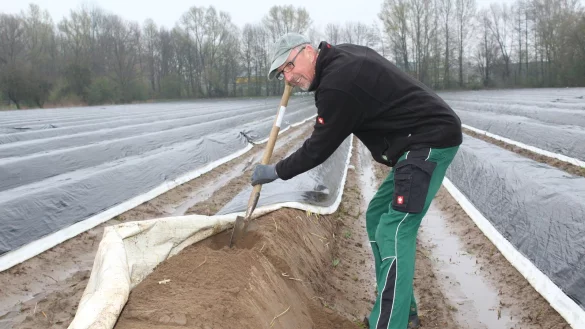 Hans Grimm wartet auf die Erntehelfer, damit das Spargelstechen losgehen kann.&nbsp; - &copy; Sandra Castrup