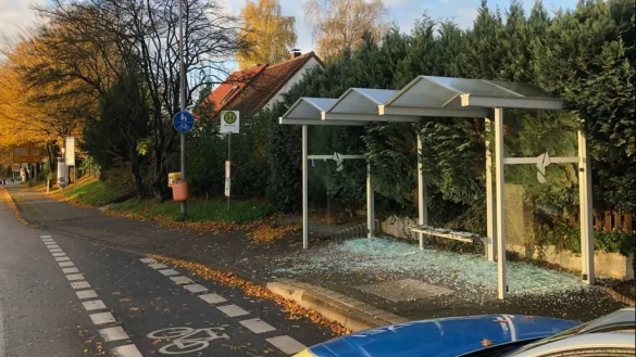 Dieses zerst&ouml;rte Bush&auml;uschen an der Lemgoer Stra&szlig;e ist nur einer von vielen Tatorten in Detmold. Insgesamt sind laut SVD allein 119 Glasscheiben zerschlagen worden. Die letzte Tatserie ereignete sich in der Nacht auf vergangenen Donnerstag, 29. Oktober. - &copy; Polizei Lippe