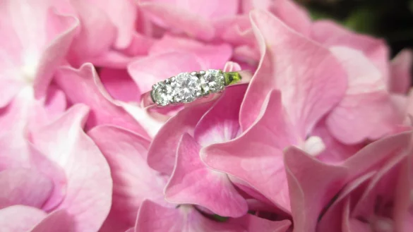 Auch das Übrreichen des Ringes ist bei einem Heiratsantrag wichtig. - © Pixabay