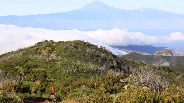 La Gomera - &copy; Foto: Manuel Meyer/dpa-tmn
