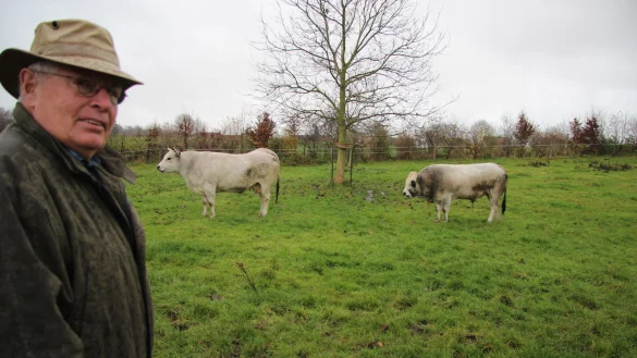 Albrecht Brunsiek ist stolz auf seine Zucht. Tamara (links) und Otto sind die letzten aus seiner Zucht. Bei dem m&auml;nnlichen Rind ist es ihm erstmalig auch gelunge, das Tier Hornlos zu z&uuml;chten. - &copy; Katrin Kantelberg
