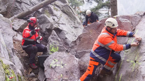 - &copy; Thomas Reichelt/dpa