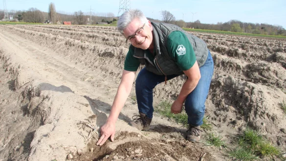 Ute Hahmeier hat auf ihrem Feld in Ehrentrup ganz schön tief buddeln müssen, um auf die erste weiße Spargelspitze zu stoßen. Zwei Wochen braucht er jetzt noch, um in die Höhe zu wachsen. Bestenfalls bei warmen Temperaturen und etwas Regen. - © Kirsten Fuhrmann