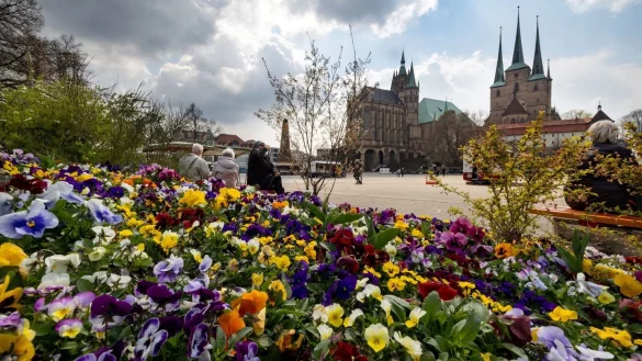 Buga - &copy; Foto: Michael Reichel/dpa