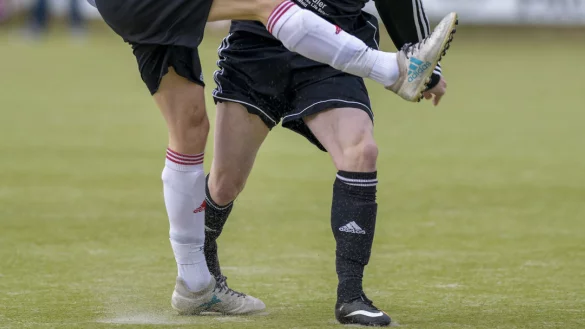 Sandige Angelegenheit: Seit Ende der 90er Jahre liege der derzeitige Kunstrasen auf dem Lipperreiher Sportplatz, vermutet Frank Fulland. Fachleute sollen den Platz in diesem Jahr untersuchen, um zu schauen, was erneuert werden muss. - &copy; Egon Penner