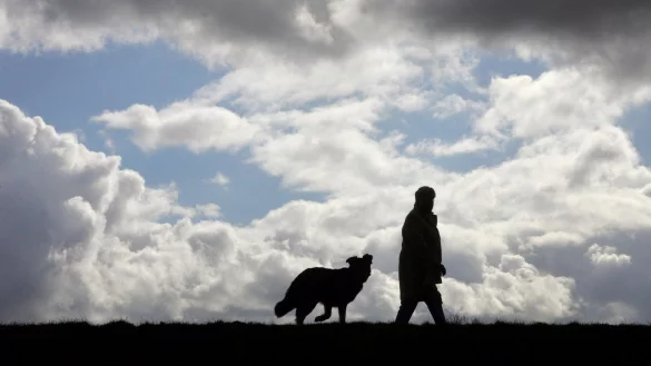 Gassigehen - &copy; Foto: Uwe Zucchi