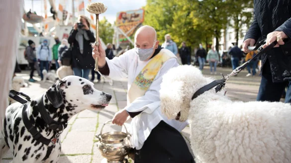 Tiersegnung im Bistum Osnabr&uuml;ck - &copy; Foto: Friso Gentsch/dpa