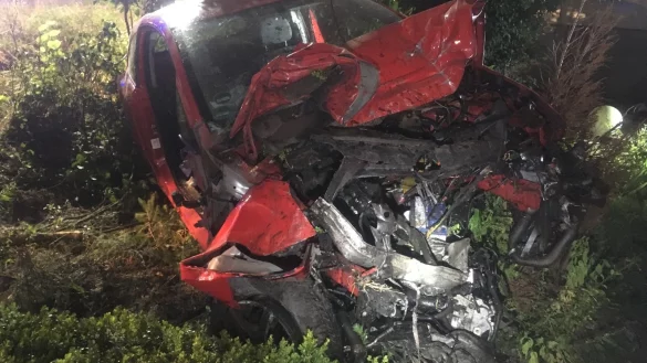 Einsatzkräfte des Löschzuges Lage mussten das Unfallopfer aus dem Autowrack befreien. - © Freiwillige Feuerwehr Lage