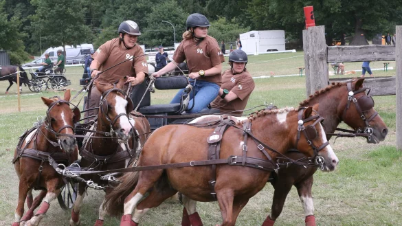 Andrea Ringe (vorne) f&auml;hrt den Pony-Viersp&auml;nner, begleitet von den Beifahrerinnen Nele Pieper (Mitte) und Sophie Bruns. - &copy; Paul Cohen