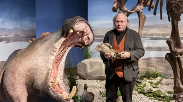 Flusspferde im Rhein - &copy; Foto: Rebecca Kind/rem/dpa/