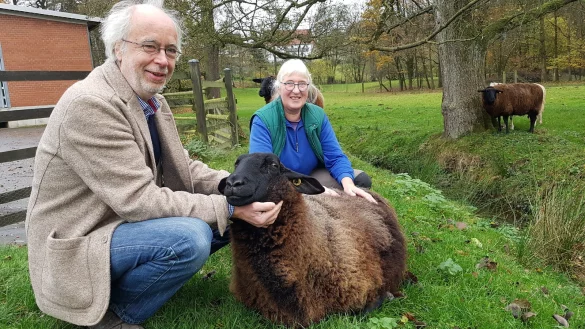 Willige Wollspenderin: Unter anderem das ostfriesische Milchschaf Clara gab seine Wolle f&uuml;r die neuen Bettdecken her. Halter Bernd Nagel-Heldt von Lippe-Qualit&auml;t hat aber unter anderem auch Sch&auml;ferin Karla Ebert und zwei anderen Biosch&auml;fern Wolle abgekauft, insgesamt &uuml;ber 800 Kilogramm. - &copy; Marianne Schwarzer(LZ)