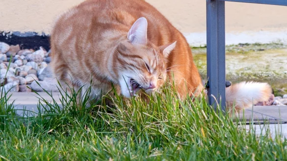 Anzeichen deuten - &copy; Foto: Andrea Warnecke