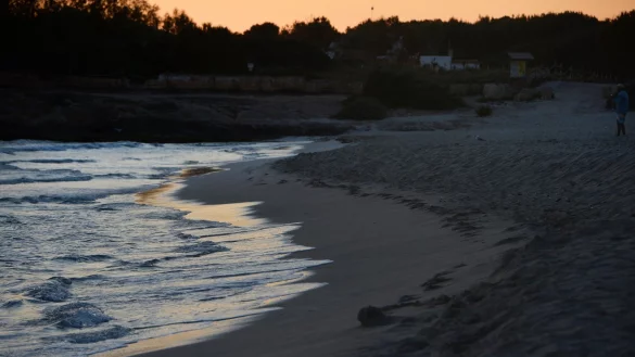Strand auf Mallorca - &copy; Foto: Jens Kalaene/dpa-Zentralbild/dpa-tmn