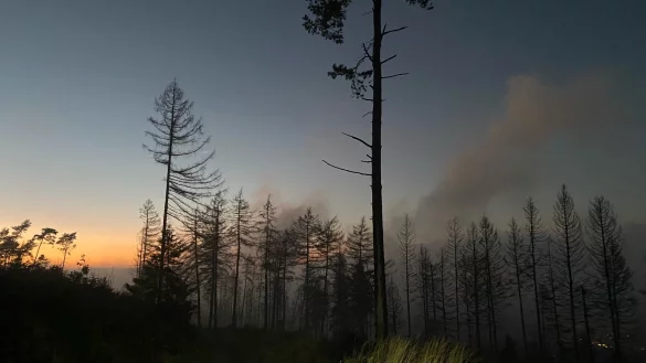 Der vermeindliche "Rauch" in Blickrichtung Hermannsdenkmal. - &copy; Feuerwehr Detmold