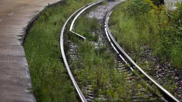 Gras zwischen Schienen - &copy; Foto: Arno Burgi
