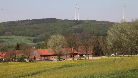 Pferdehof bei Brosen - &copy; Vera Gerstendorf-Welle
