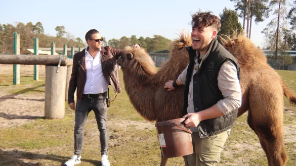 Frank Muschiol (l.) und Markus K&ouml;chling mit einem Trampeltier. Das hat noch sein Winterfell. - &copy; Sigurd Gringel
